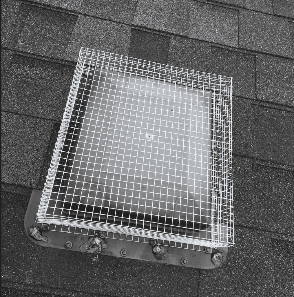 Properly sized half-inch mesh box screen installed over roof vent to keep bats out