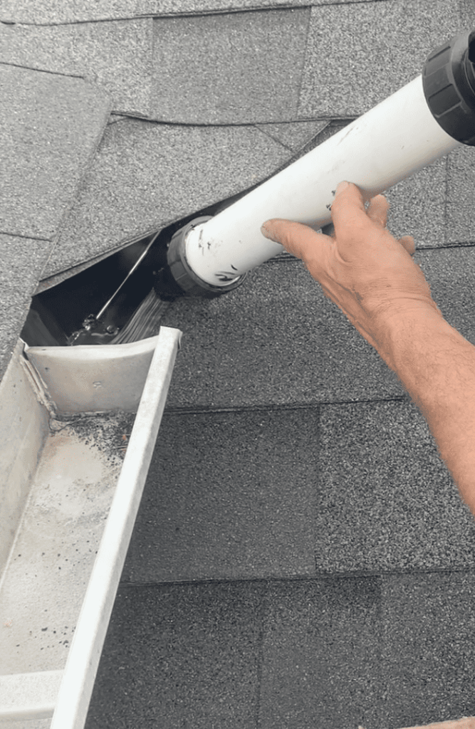 Bat-proofing caulk work sealing a roof edge gap near the gutter to prevent bat entry