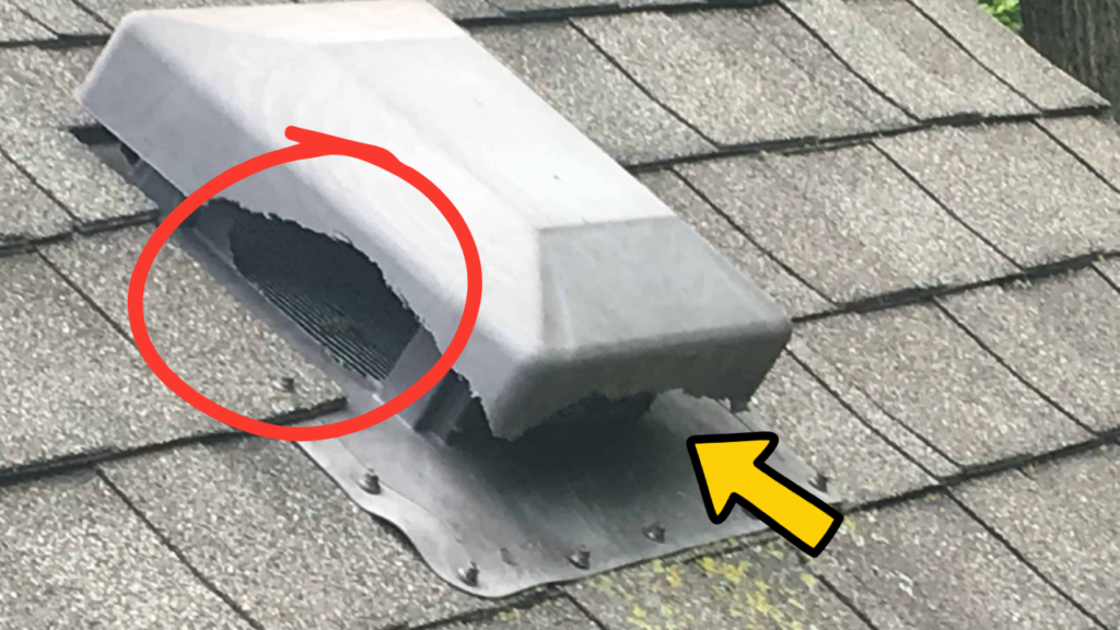 Plastic roof vent with the side chewed open by wildlife, creating a large opening that allows bats to enter the attic.