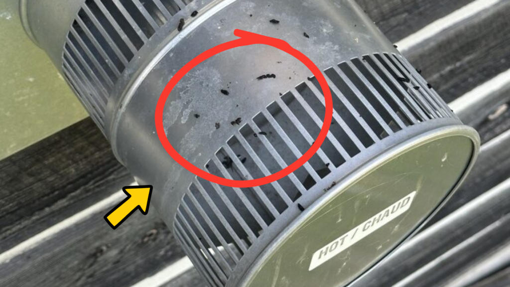 Bat droppings on exterior gas fireplace vent showing possible bat activity