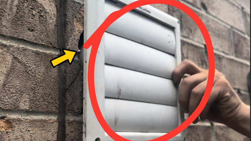 Loose sidewall vent with gap where bats were entering the home