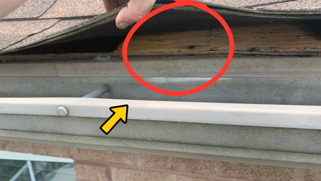 First row of shingles lifted to show missing drip edge flashing and exposed roof decking along the roof edge.