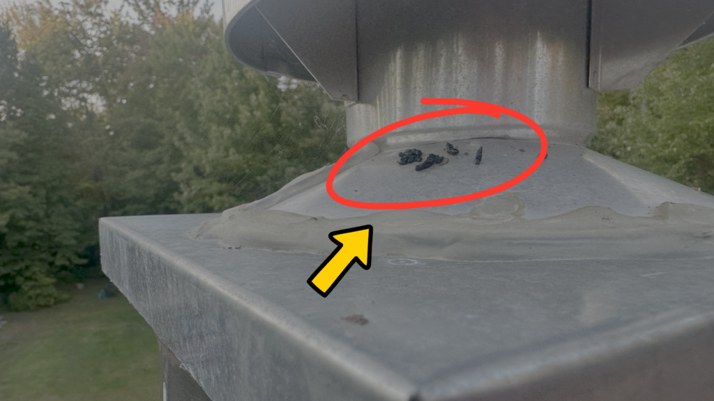 Bat droppings under a gas liner cap on top of a chimney.