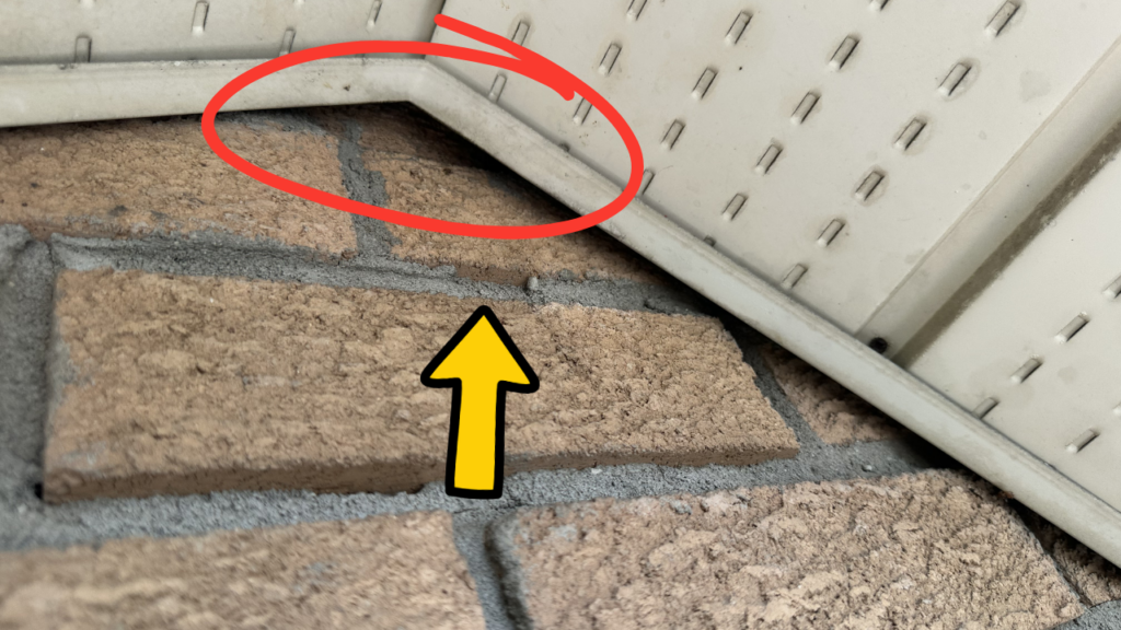 Gap between the soffit and brick wall of an Ontario home. Openings like this commonly allow bats to enter attics, walls, and roof systems.