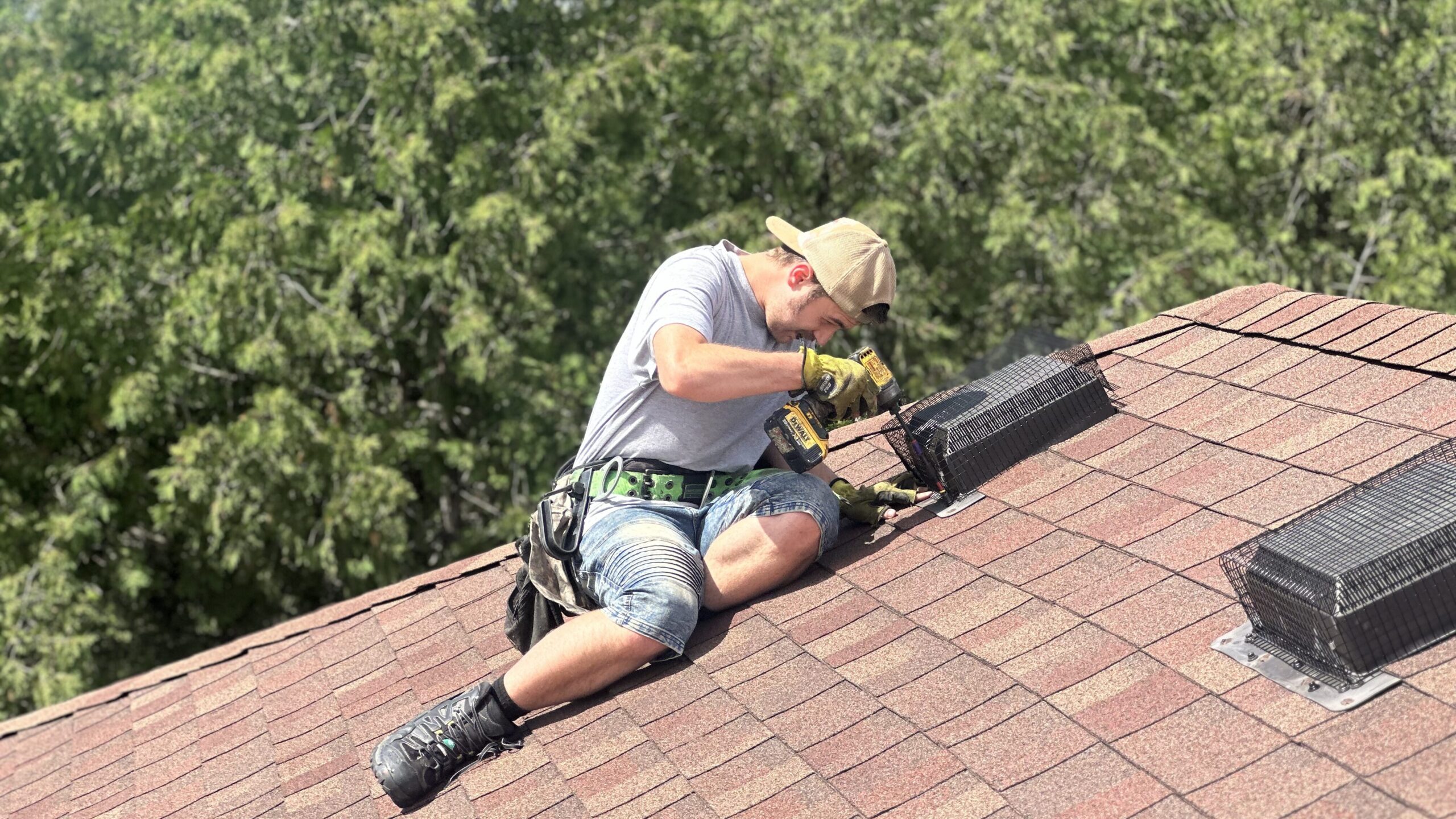 Bat-proofing work being done on an Ontario home roof with bat excluders installed over active entry and exit points.