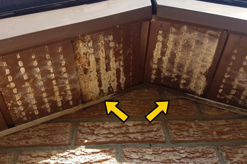 Bat urine stains and corrosion on the soffit panels of an Ontario home, marked with yellow arrows.