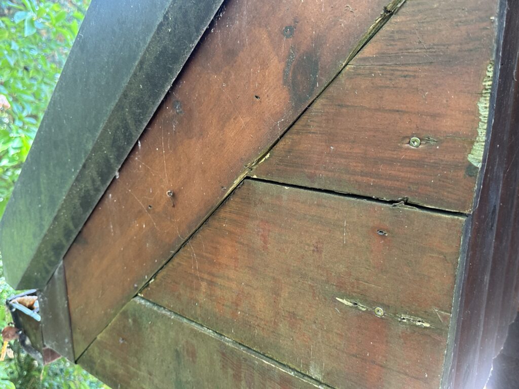 Deteriorating wooden soffit and bird box framing that could become future bat entry points