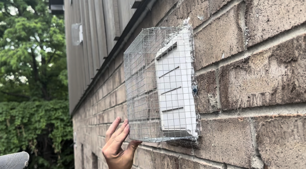 Bat-proof box screen installed over sidewall vent to keep bats out