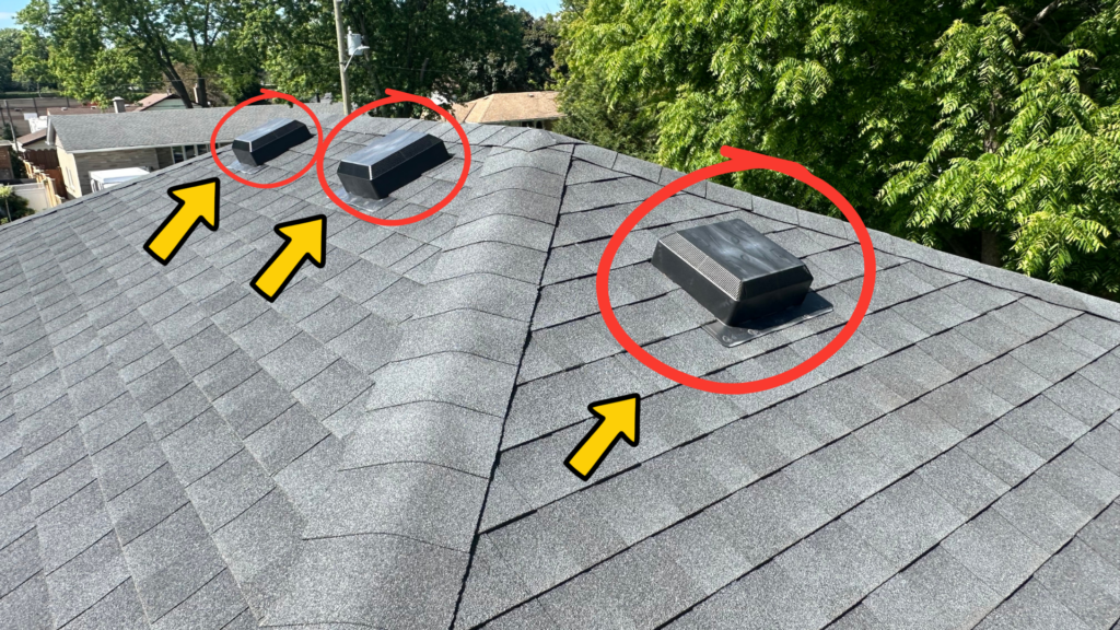 Multiple unprotected roof vents on a shingle roof before bat-proofing.