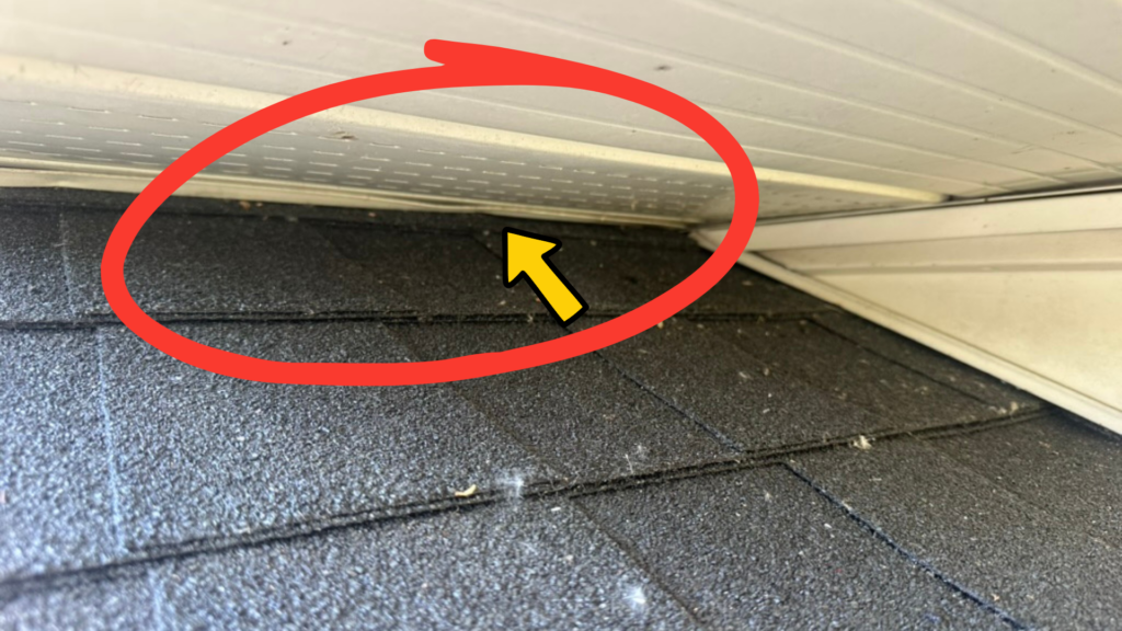 Gap where soffit meets shingles that bats can use to enter a house.
