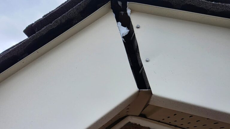 Fascia Gap at Roof Peak Bat Entry Point