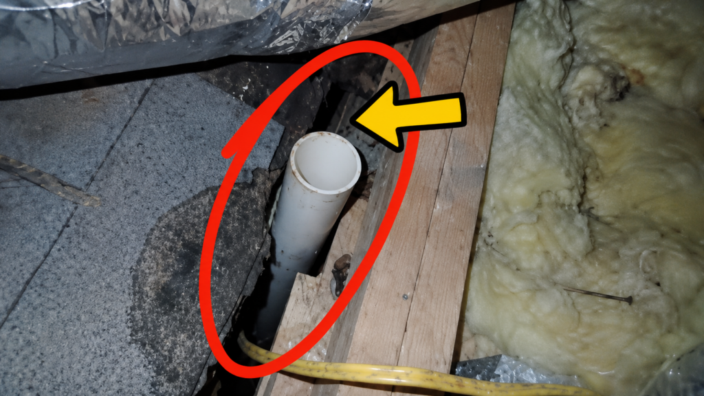 Attic gap around a plumbing pipe where bats can enter hidden wall cavities, highlighted with a red circle and yellow arrow.