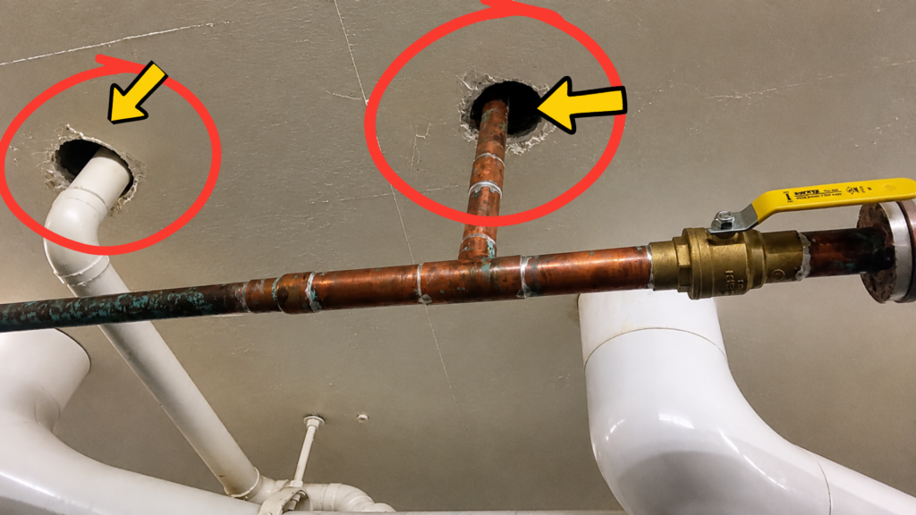 Large gaps around copper and PVC pipes in a basement ceiling that can allow bats to travel through hidden wall and floor cavities.