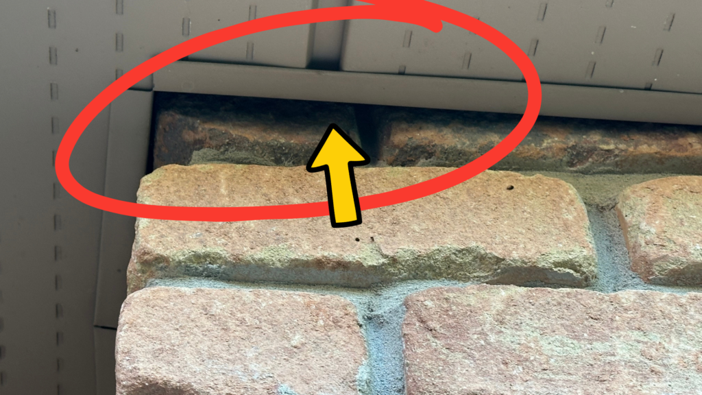 Large open gap where the soffit meets the brickwork, creating a potential entry point for bats and mice.