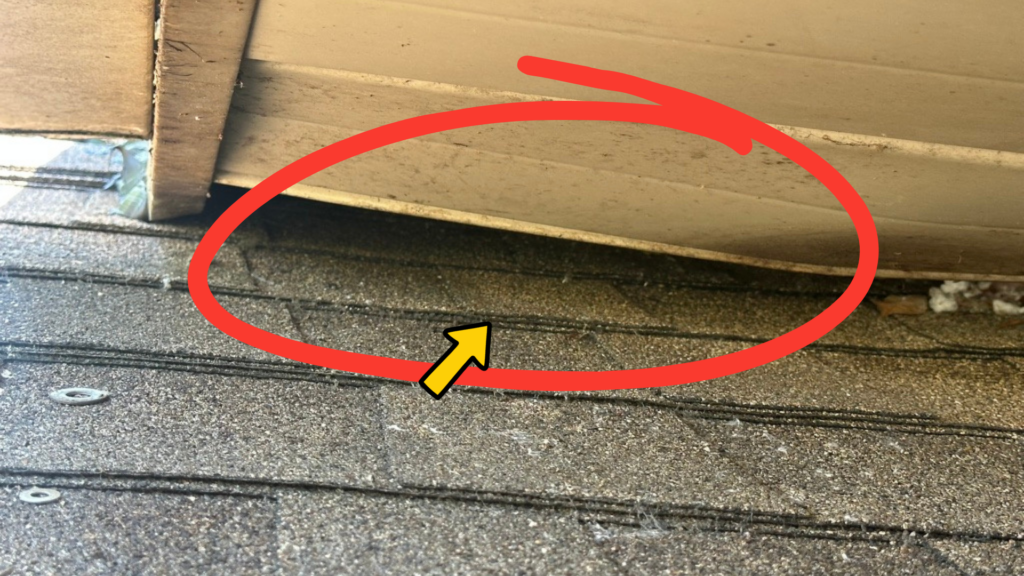 Large bat entry gap between the soffit and roof shingles with dark staining and bat droppings around the opening.