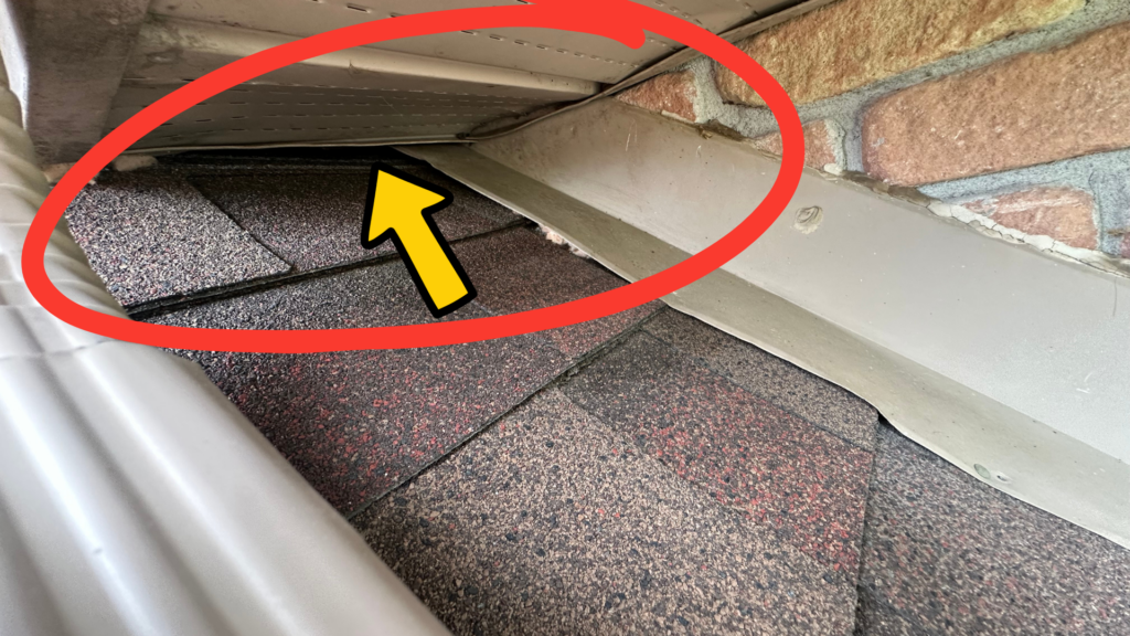 Primary bat entry gap where the soffit meets the roof shingles on a Bobcaygeon house