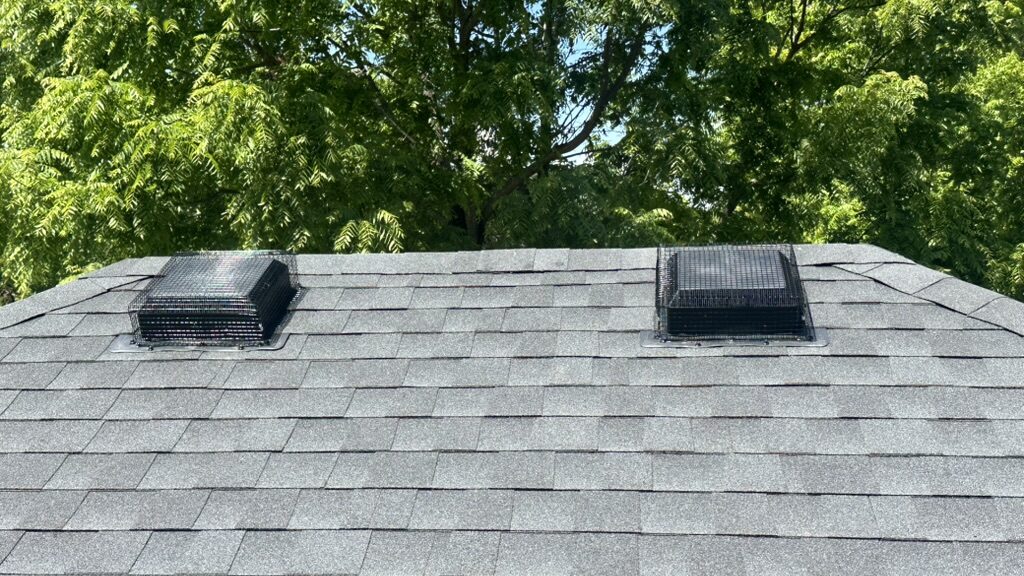 After photo of roof vents protected with custom bat-proof box screens on an asphalt shingle roof.