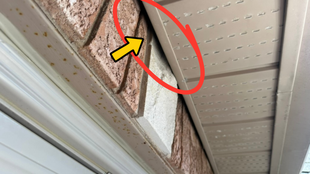 Near one-inch gap behind soffit J-channel above a window where bats and mice can enter an Ontario home.