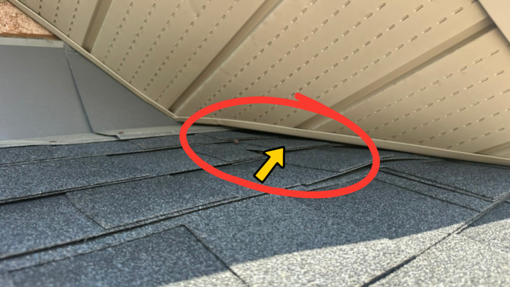 Gap between soffit and shingles on a cornice return that bats can use as an entry point.