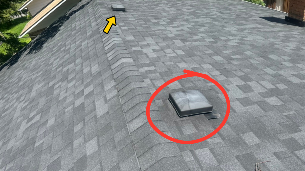 Unprotected roof vents on an Ontario home before bat-proofing, showing a common bat entry point.